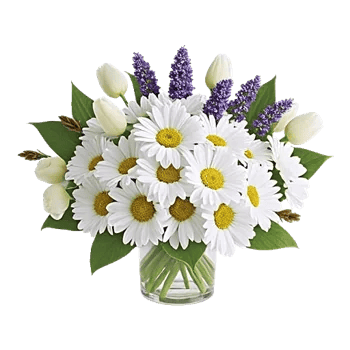 Delicate Petal Cascade