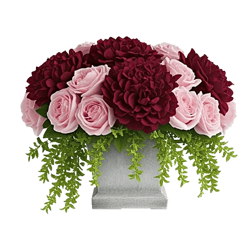 Petal Radiance Bliss