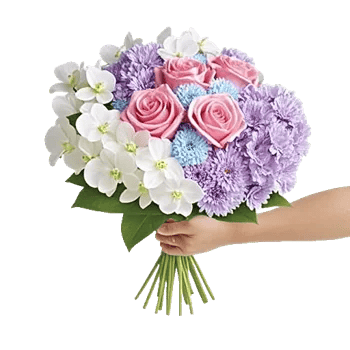 Petal Grace Harmony