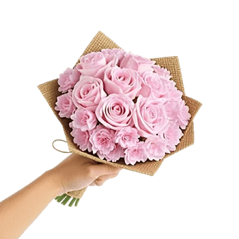 Blushing Rose Symphony