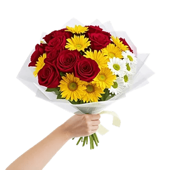 Crimson Rose Elegance