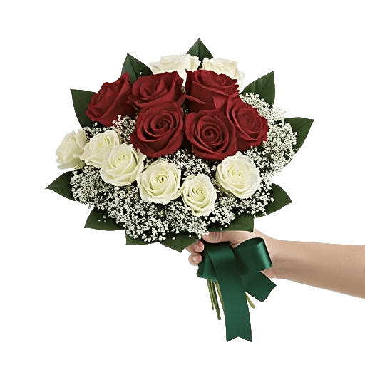 Crimson Rose Elegance