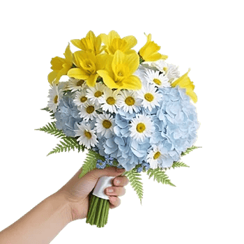 Serene Petal Harmony