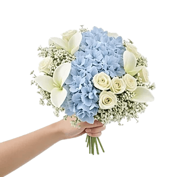 Serene Petal Harmony