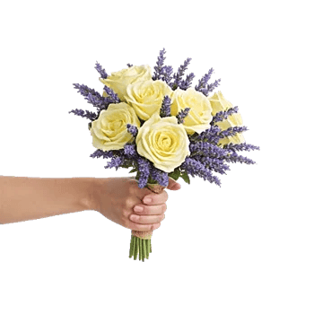 Rosemary Bloom Elegance