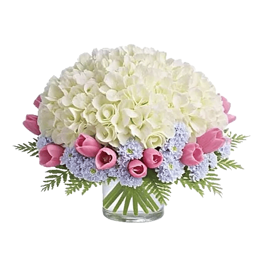 Serene Petal Harmony