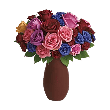 Radiant Rose Symphony