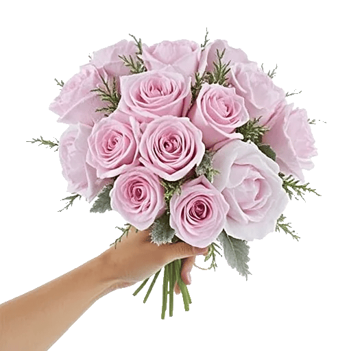 Pastel Pink Roses
