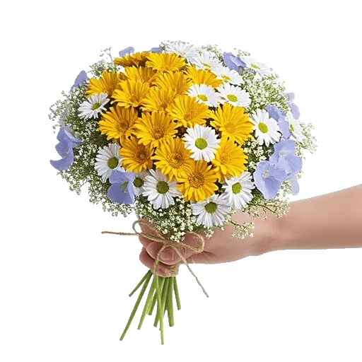 Golden Petal Harmony