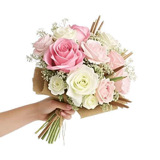 Pastel Pink Roses