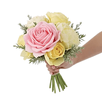 Pastel Pink Roses