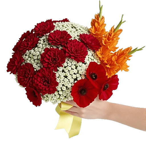 Scarlet Petal Grace
