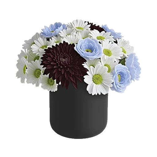 Crimson Blossom Harmony