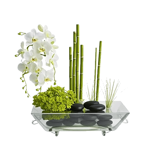 Modern White Orchids