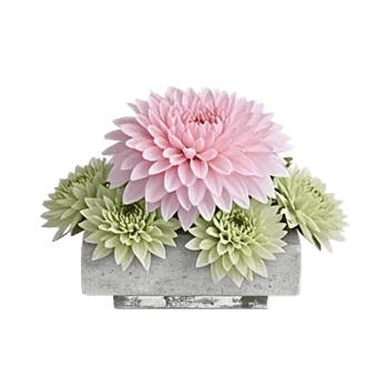 Graceful Lily Display