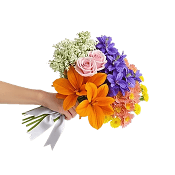 Blossom Harmony Display