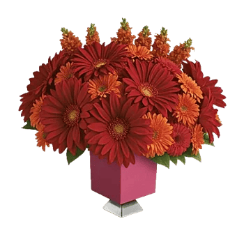 Crimson Blossom Harmony