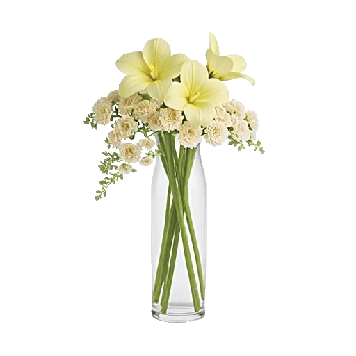 Ivory Blossom Radiance