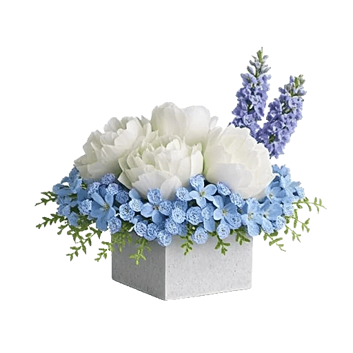 Blooming Serenity Display