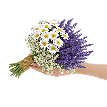 Delicate Petal Cascade