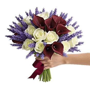 Elegant Calla Lilies