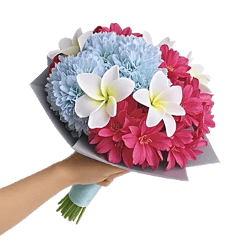 Serene Petal Harmony