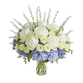 Ivory Blossom Radiance