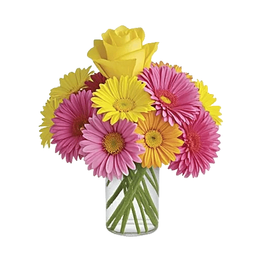 Petal Radiance Bliss