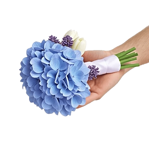 Serene Garden Harmony