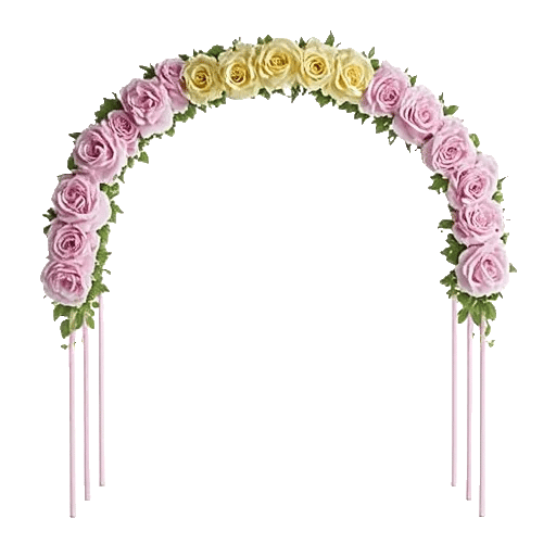 Petal Radiance Bliss