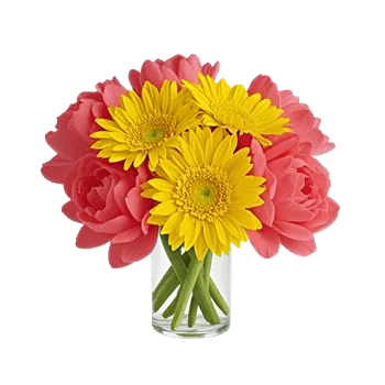 Petal Radiance Bliss