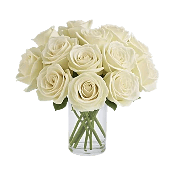 Ivory Blossom Radiance