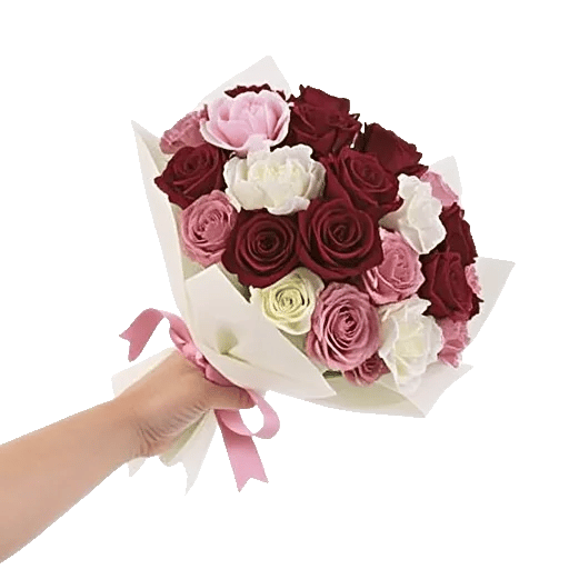 Blushing Rose Symphony