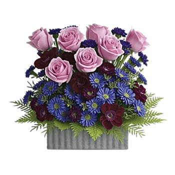 Ivory Blossom Radiance