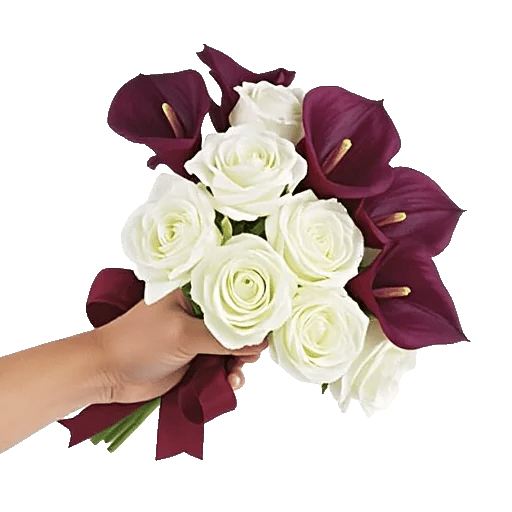 Elegant Calla Lilies