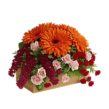 Blush Romantic Centerpiece