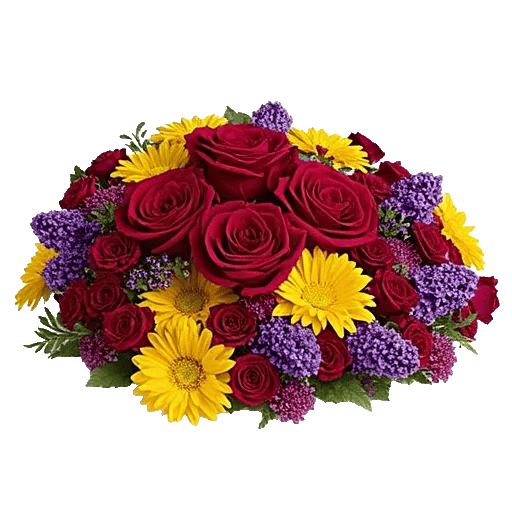 Radiant Rose Symphony