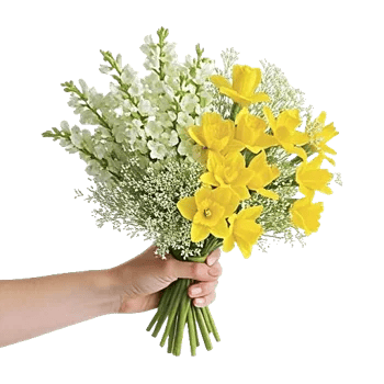 Blossom Harmony Display