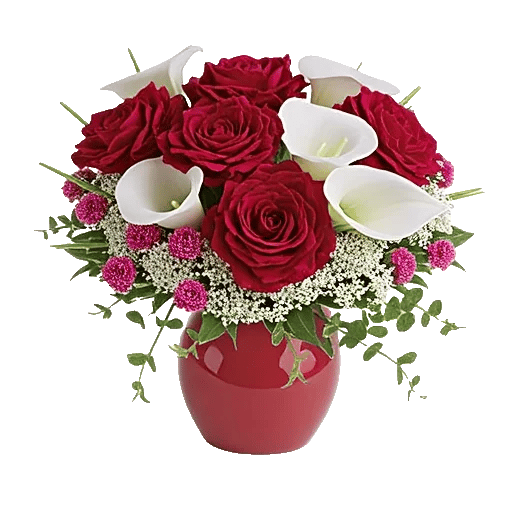 Crimson Blossom Harmony