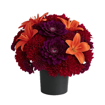 Petal Radiance Bliss