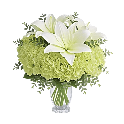 Ivory Blossom Radiance