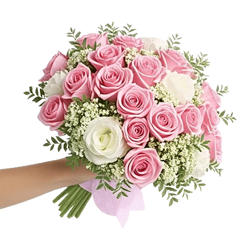 Pastel Pink Roses