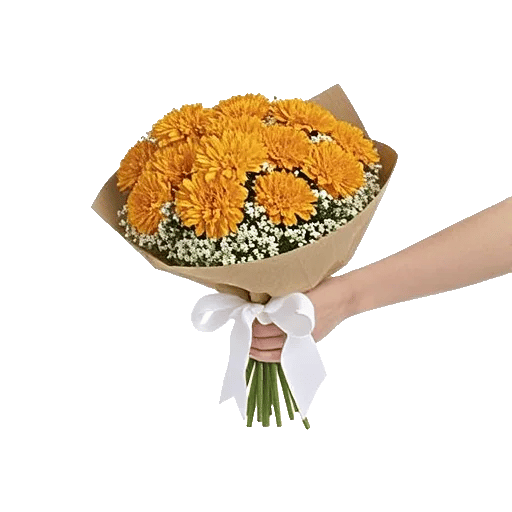 Golden Petal Harmony