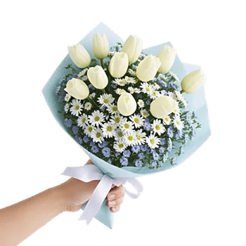 Serene Petal Harmony