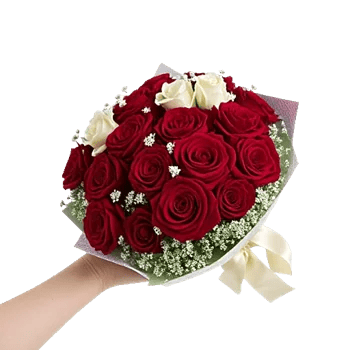 Blushing Rose Symphony