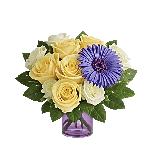 Ivory Blossom Radiance