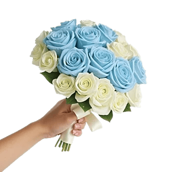 Elegant Blue Roses