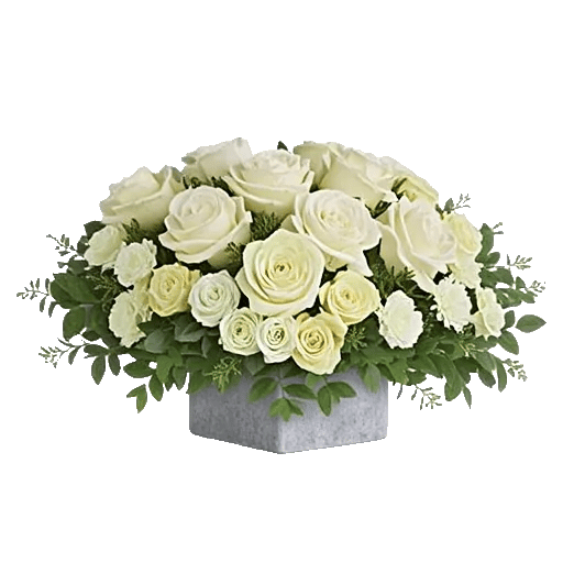 Delicate Petal Cascade