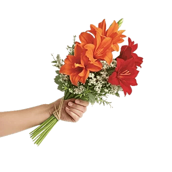 Blossom Glow Symphony