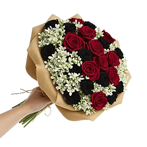 Crimson Rose Elegance